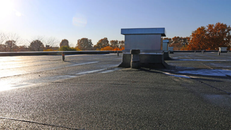 A flat roof surrounded by autumn colored trees and blue sky.