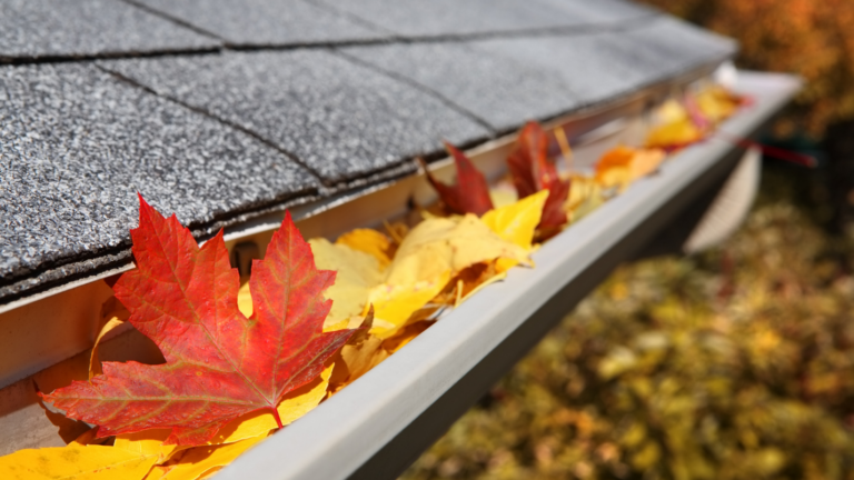 A residential roof in fall, with gutters filled with autumn leaves.